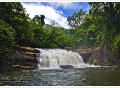 Thommankuthu Waterfalls